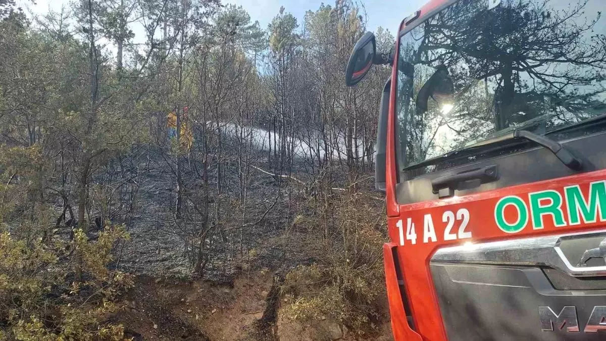 Bolu’daki orman yangını böyle görüntülendi