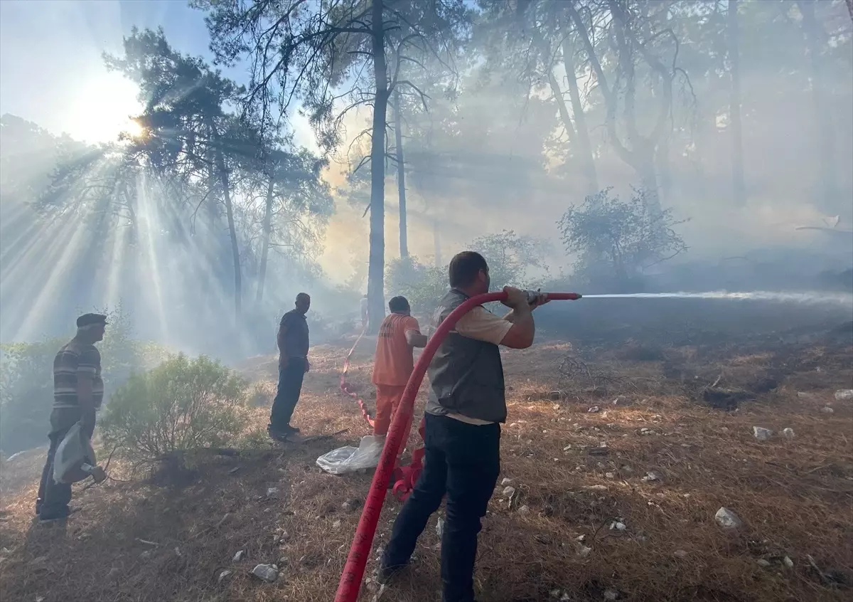 Kaş’ta Yangın Zanlısı Serbest Bırakıldı