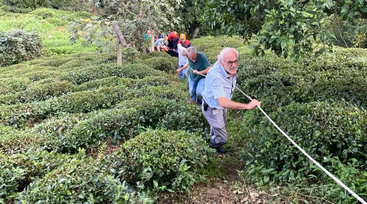 Rize’de Teleferikten Düşen Çay Müstahsili Yaralandı