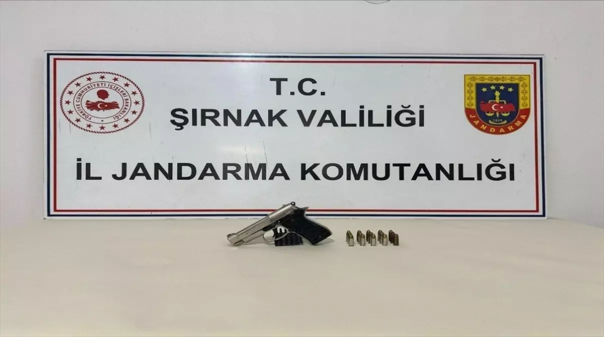 Şırnak’ta Kaçakçılık Operasyonu: 1 Tutuklama